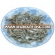 White Tea Silver Needle Chinese Fujian tea Baihao Yinzhen tea