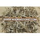 Jasmine tea silver needle spring tea